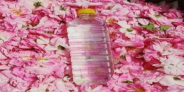 تصویر 3 از خرید گلاب اصل قمصر کاشان + قیمت فروش استثنایی