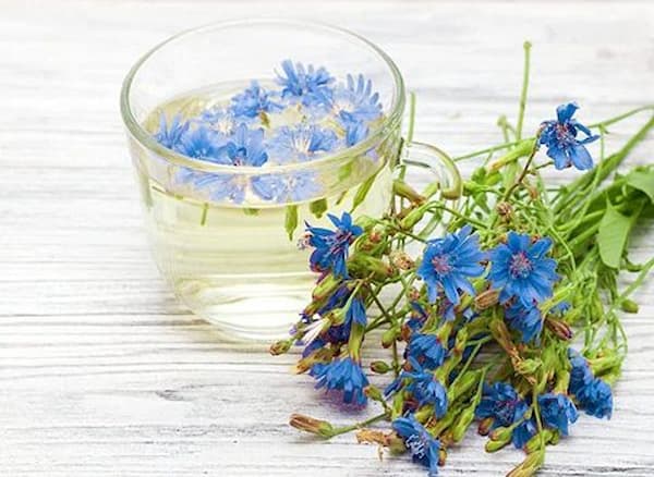 تصویر 1 از خرید و فروش عرق کاسنی و شاتره اصل با شرایط فوق العاده