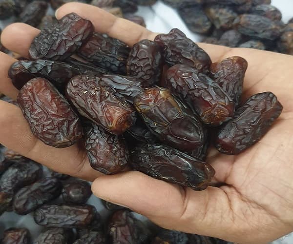 تصویر 1 از قیمت خرید خرما پیارم ممتاز + فروش ویژه