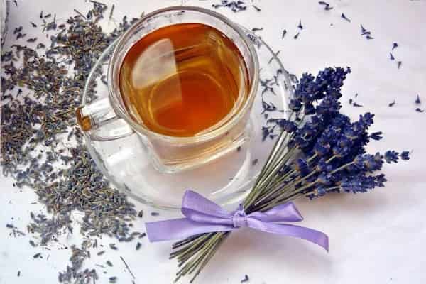 تصویر 3 از خرید و فروش گل گاوزبان اسطوخودوس با شرایط فوق العاده
