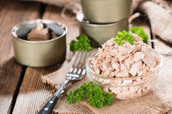 تصویر 3 از قیمت خرید کنسرو تن ماهی تحفه + فروش ویژه