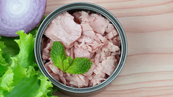 تصویر 3 از قیمت خرید کنسرو ماهی شیلتون با فروش عمده