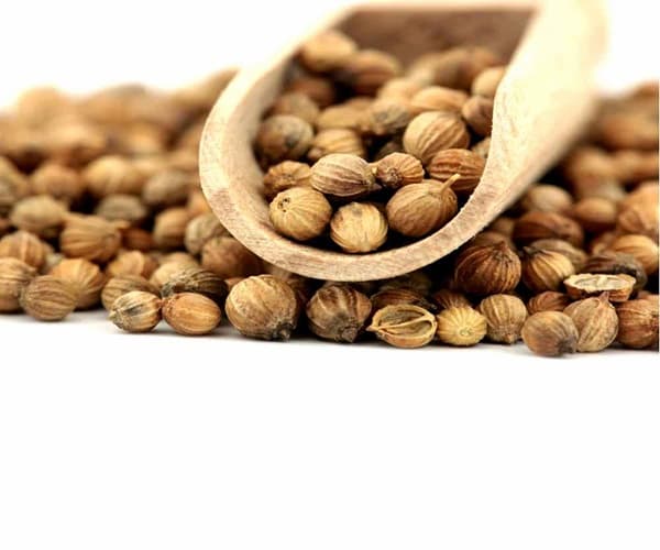 تصویر 3 از قیمت خرید تخم گشنیز نهاوند + فروش ویژه