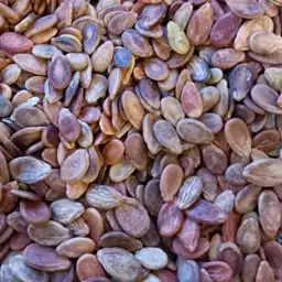 تصویر 2 از خرید تخمه هندوانه قرمز + قیمت فروش استثنایی