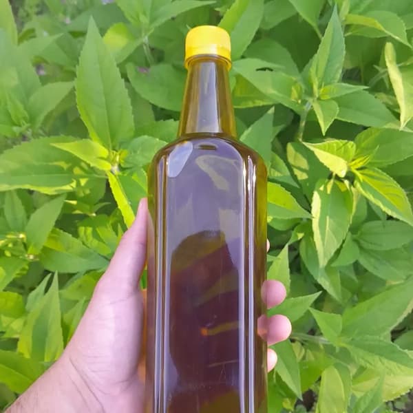 تصویر 4 از فروش روغن کنجد طب سنتی + قیمت خرید به صرفه