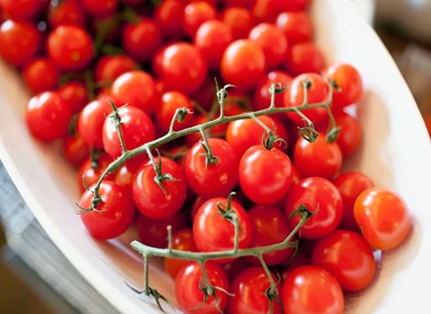 تصویر 5 از قیمت گوجه فرنگی گیلاسی با کیفیت ارزان + خرید عمده