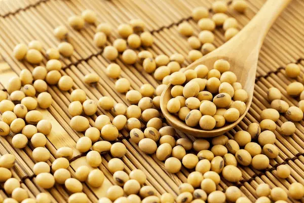 تصویر 5 از قیمت سویا آجیلی نمکی با کیفیت ارزان + خرید عمده
