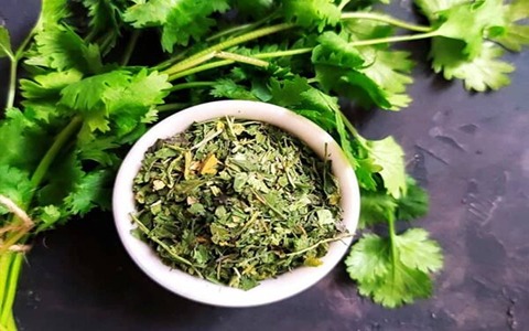 تصویر 2 از فروش برگ گشنیز خشک + قیمت خرید به صرفه