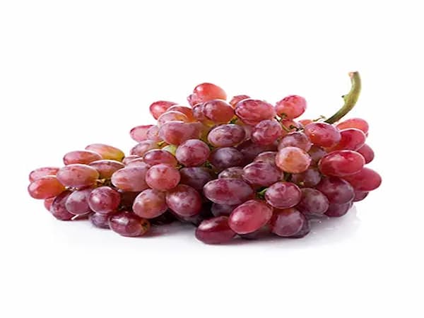 تصویر 3 از فروش انگور فخری مراغه + قیمت خرید به صرفه