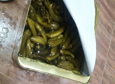 تصویر 4 از خرید خیارشور حلب شاهکار + قیمت فروش استثنایی