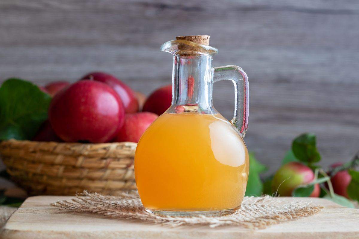 قیمت خرید سرکه سیب شیشه ای با فروش عمده