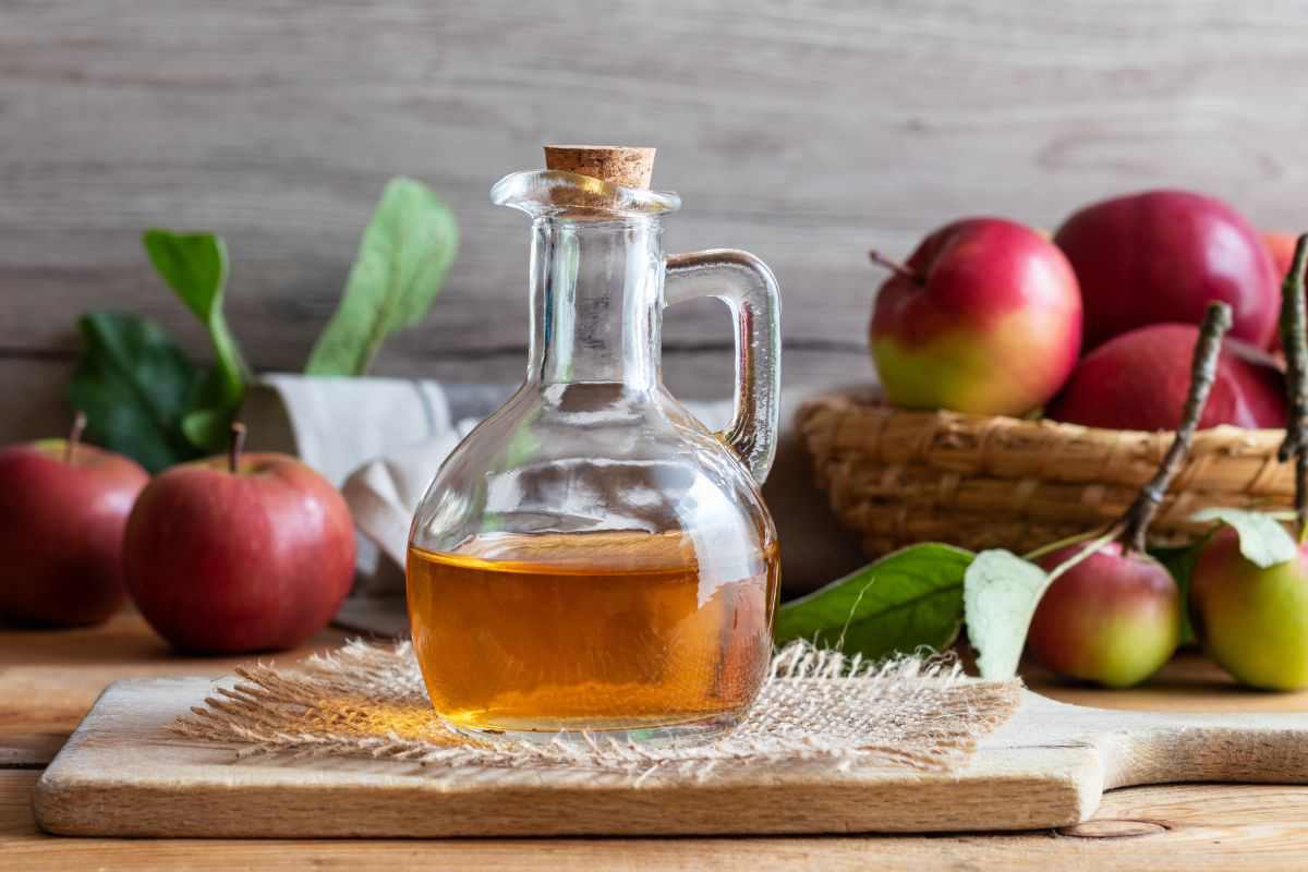 تصویر 5 از قیمت خرید سرکه سیب شیشه ای با فروش عمده