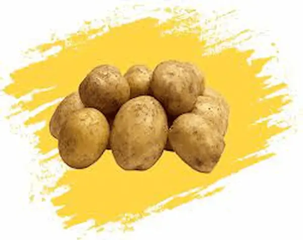 تصویر 2 از قیمت سیب زمینی یزد + خرید باور نکردنی