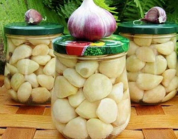خرید و قیمت سیر سفید شیشه ای صادراتی + فروش عمده