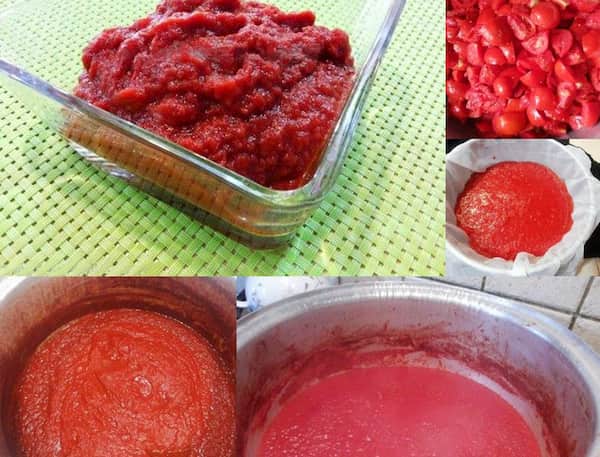 تصویر 4 از خرید و قیمت رب گوجه حلبی + فروش عمده