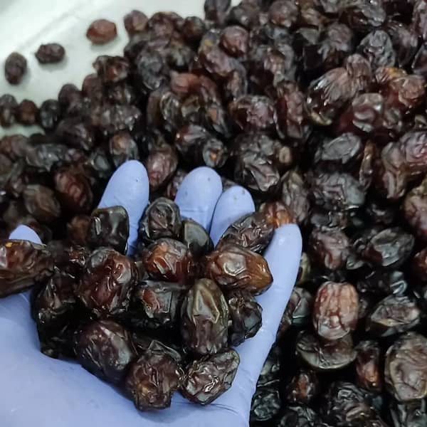 تصویر 3 از خرید خرما زاهدی مروارید سیاه + قیمت فروش استثنایی