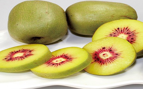 تصویر 5 از خرید و فروش کیوی تو سرخ در مازندران با شرایط فوق العاده