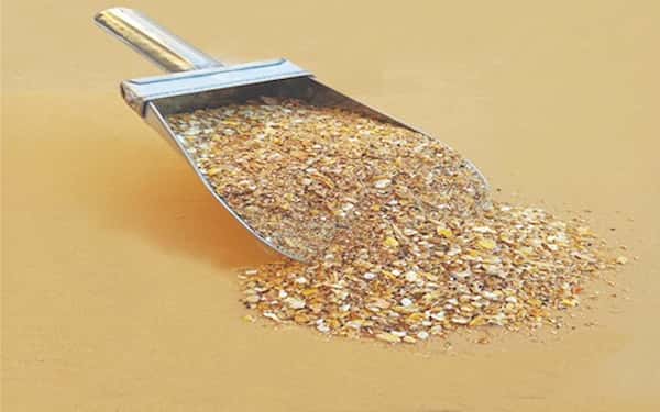 قیمت استارتر طلایی بره با کیفیت ارزان + خرید عمده