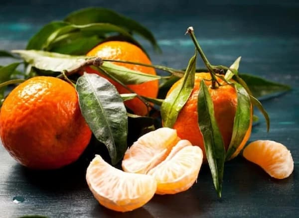 قیمت خرید انواع نارنگی کلمانتین + فروش ویژه