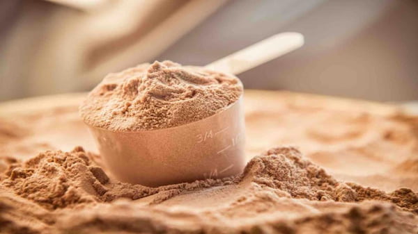 تصویر 5 از قیمت خرید پودر ماهی جنوب با فروش عمده