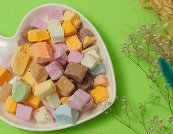 قیمت خرید بستنی خشک ۱۰۰ گرمی با فروش عمده