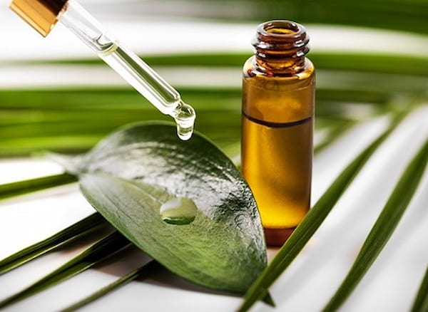 تصویر 4 از خرید و قیمت روغن سیر سیاه اصلی + فروش عمده
