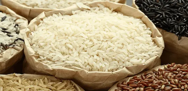 تصویر 5 از قیمت خرید برنج چمپا عمده به صرفه و ارزان