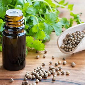 تصویر 2 از قیمت خرید اسانس تخم گشنیز عمده به صرفه و ارزان