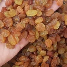 تصویر 2 از فروش کشمش زرد ایرانی + قیمت خرید به صرفه