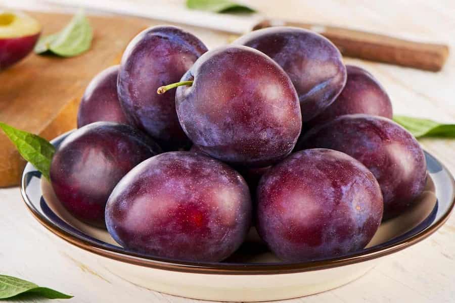 تصویر 3 از قیمت آلو جنگلی تازه + خرید باور نکردنی