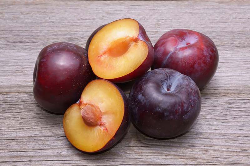 خرید آلو جنگلی ریز + قیمت فروش استثنایی