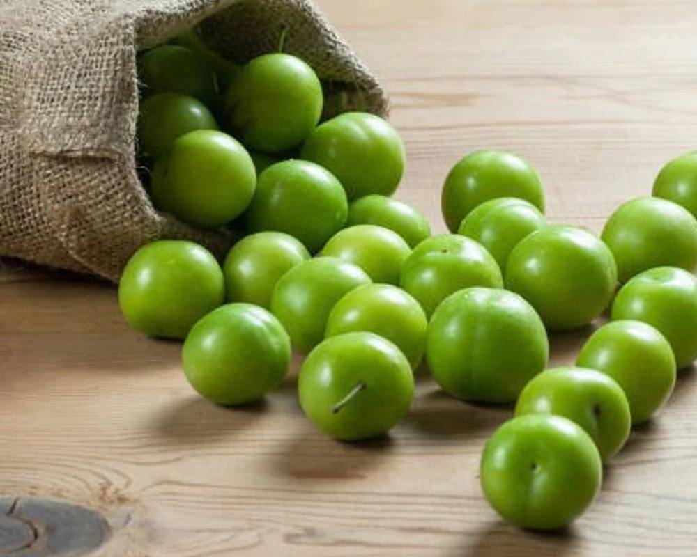 قیمت خرید آلو جنگلی سبز با فروش عمده