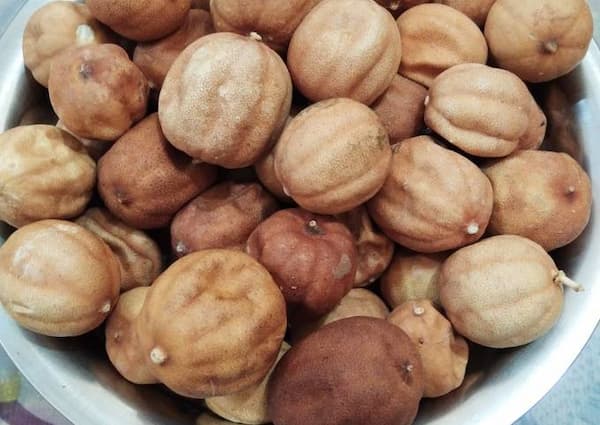 تصویر 5 از خرید لیمو خشک مصری  + قیمت فروش استثنایی