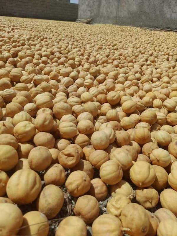 تصویر 4 از خرید لیمو عمانی سودانی + قیمت فروش استثنایی