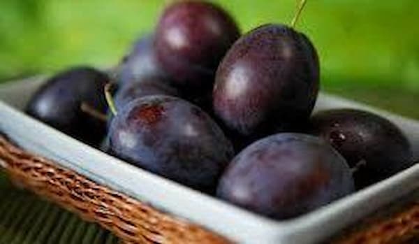 تصویر 4 از فروش آلو جنگلی شمال + قیمت خرید به صرفه