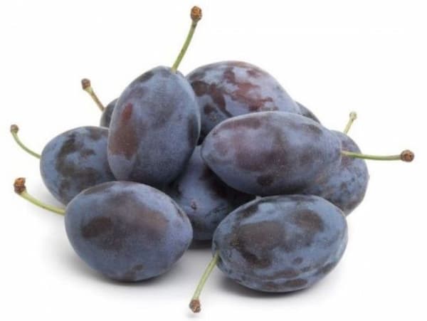 تصویر 2 از فروش آلو جنگلی شمال + قیمت خرید به صرفه