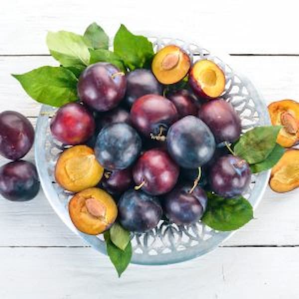 فروش آلو جنگلی شمال + قیمت خرید به صرفه