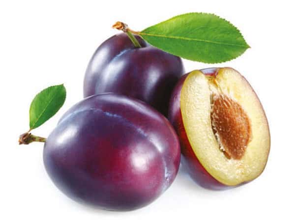 تصویر 1 از خرید و قیمت آلو جنگلی سیاه + فروش عمده