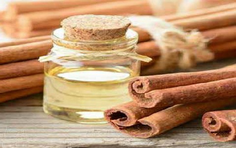 تصویر 4 از خرید اسانس دارچین خوراکی + قیمت فروش استثنایی