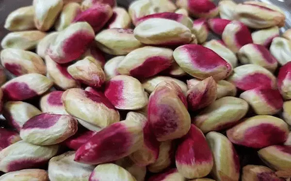 تصویر 2 از خرید پسته لب ماتیکی + قیمت فروش استثنایی