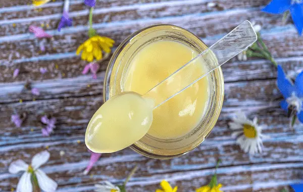 تصویر 4 از خرید ژل رویال طبیعی + قیمت فروش استثنایی