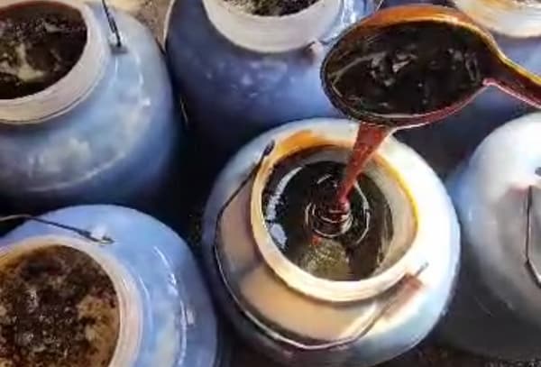 تصویر 1 از قیمت خرید شیره خرما هرمزگان با فروش عمده