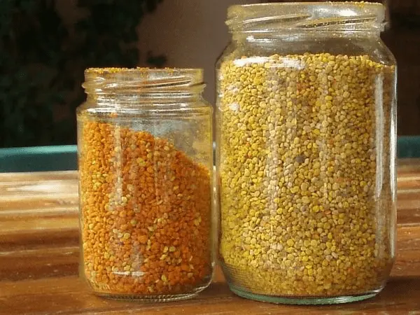 تصویر 2 از خرید گرده گل ایرانی + قیمت فروش استثنایی