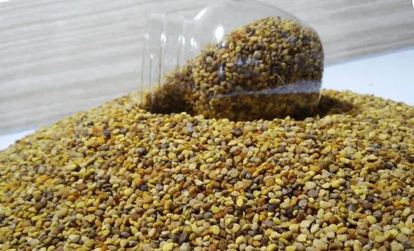 تصویر 3 از قیمت گرده گل مرغوب + خرید باور نکردنی