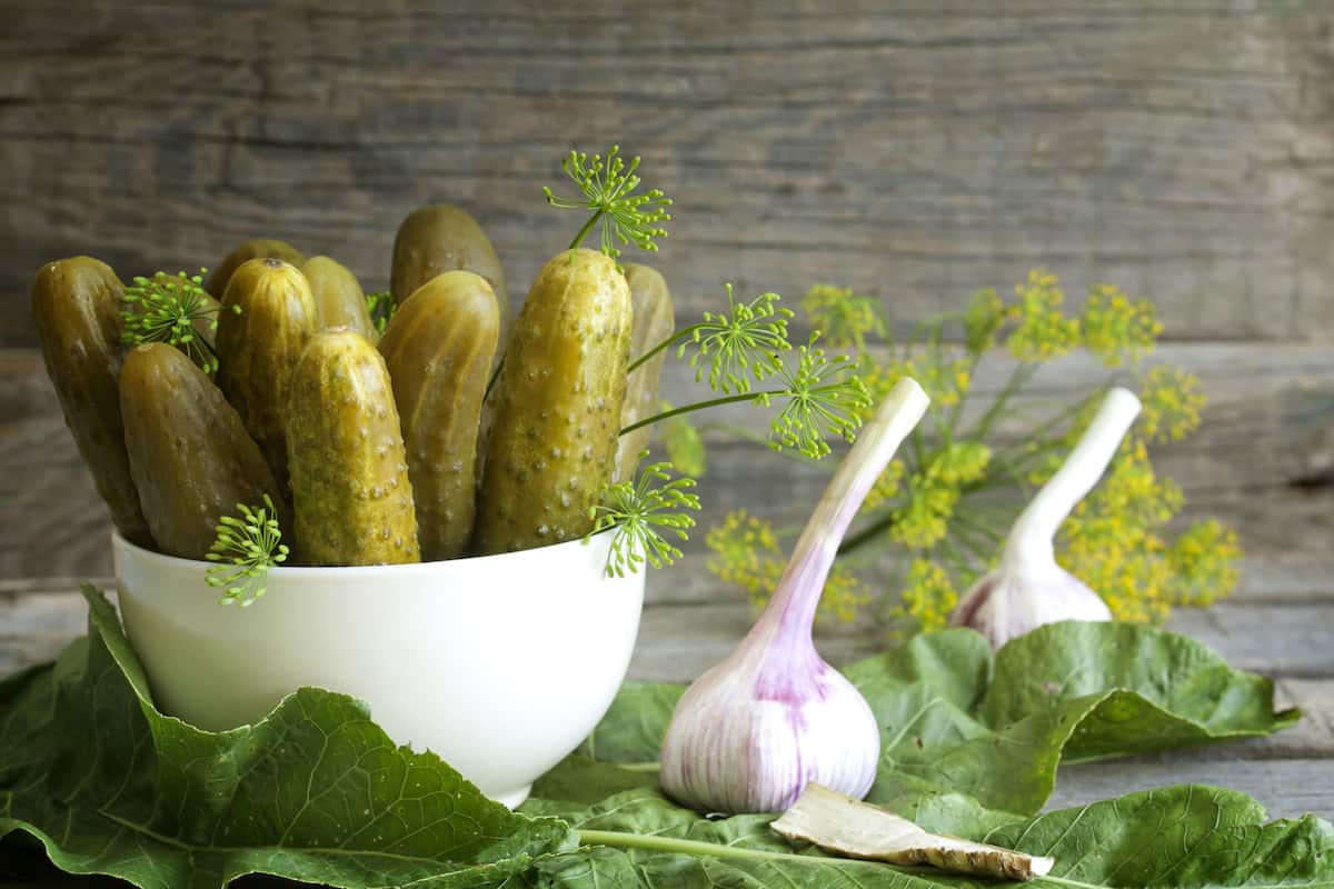 تصویر 1 از راهنمای خرید خیار شور دبه ای + قیمت عالی