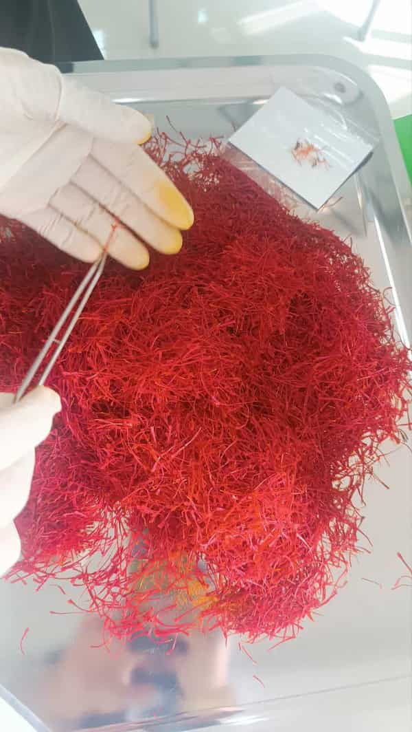 تصویر 1 از قیمت زعفران پاکتی یک مثقالی + خرید باور نکردنی