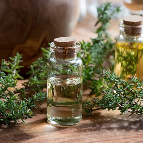 تصویر 3 از فروش آویشن برگ سوزنی + قیمت خرید به صرفه