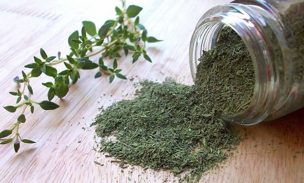 تصویر 4 از فروش آویشن برگ سوزنی + قیمت خرید به صرفه
