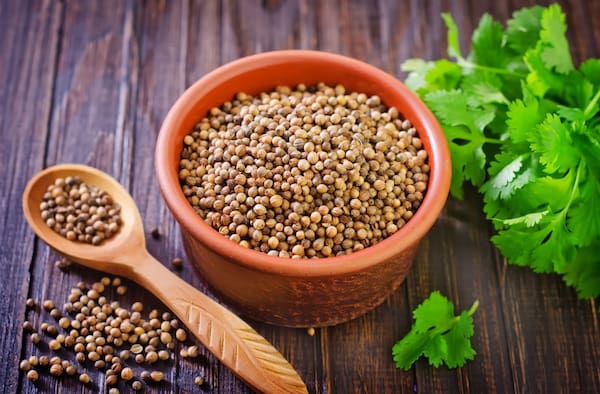 تصویر 5 از قیمت خرید برگ گشنیز خشک با فروش عمده