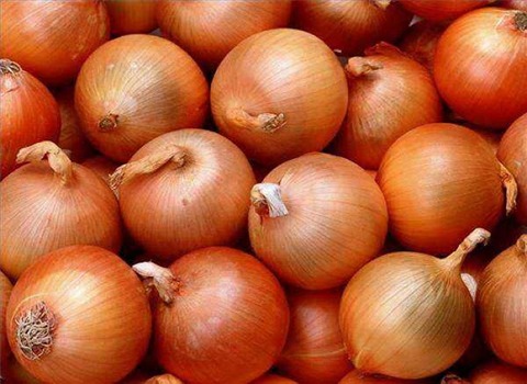 تصویر 4 از خرید پیاز زرد رنگ + قیمت فروش استثنایی